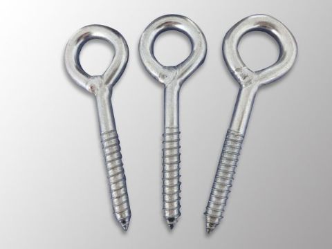 點(diǎn)擊查看詳細(xì)信息<br>標(biāo)題：Eye Bolt 閱讀次數(shù)：1244