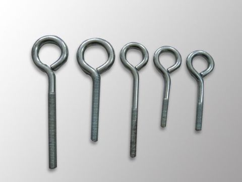 點(diǎn)擊查看詳細(xì)信息<br>標(biāo)題：Eye Bolt 閱讀次數(shù)：1205
