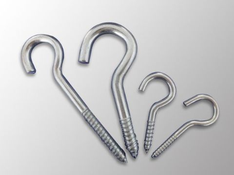 點(diǎn)擊查看詳細(xì)信息<br>標(biāo)題：Eye Bolt 閱讀次數(shù)：1097