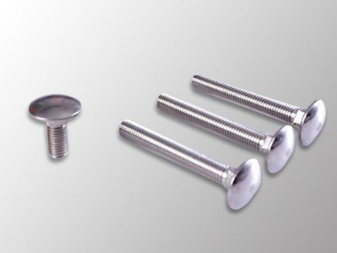 點(diǎn)擊查看詳細(xì)信息<br>標(biāo)題：Carriage Bolt 閱讀次數(shù)：1278