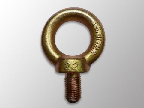 點(diǎn)擊查看詳細(xì)信息<br>標(biāo)題：吊環(huán)螺栓DIN580 閱讀次數(shù)：1433