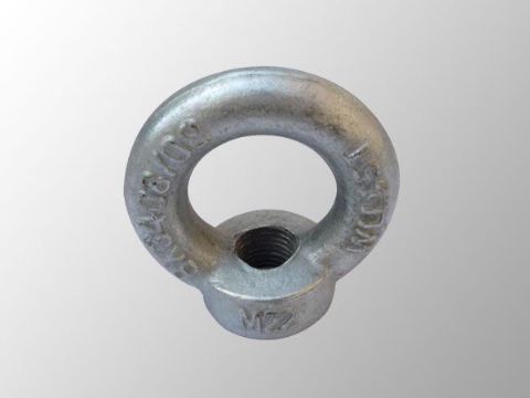 點(diǎn)擊查看詳細(xì)信息<br>標(biāo)題：吊環(huán)螺母 閱讀次數(shù)：2912